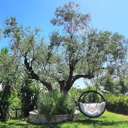 Alta Mare - Up To 13p