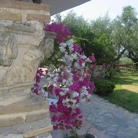 Alta Mare - Up To 13p Vasilikí