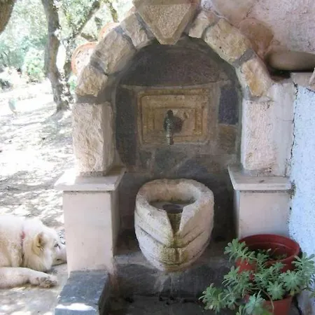 Vakantiehuis Alta Mare - Up To 13p