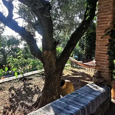 Alta Mare - Up To 13p